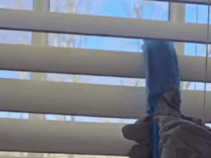 Professional cleaning of blinds and windows with a microfiber tool for a spotless finish.