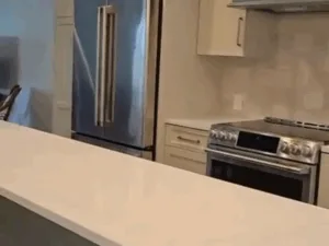 Complete Kitchen Cleaning: Another angle of the well-maintained kitchen, featuring modern appliances and a polished countertop.