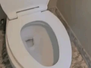 Bathroom deep cleaning of toilet seat and bowl after sanitization