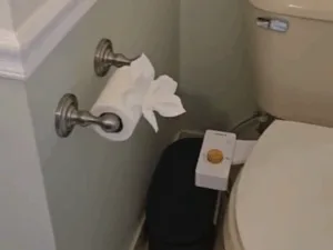 Bathroom deep cleaning highlighting organized toilet paper and decor.