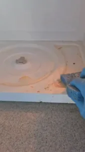 Microwave interior cleaning in progress with sponge removing debris